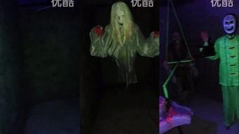 撸鬼屋在线观看,撸鬼屋在线惊魂之旅